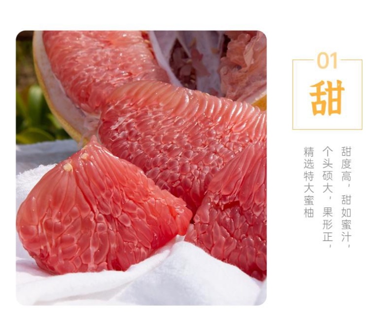 蜜柚，支持一件代发