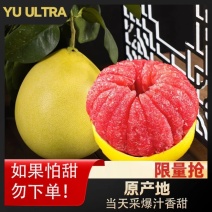 蜜柚，支持一件代发