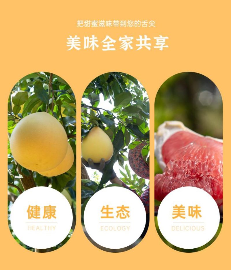 蜜柚，支持一件代发