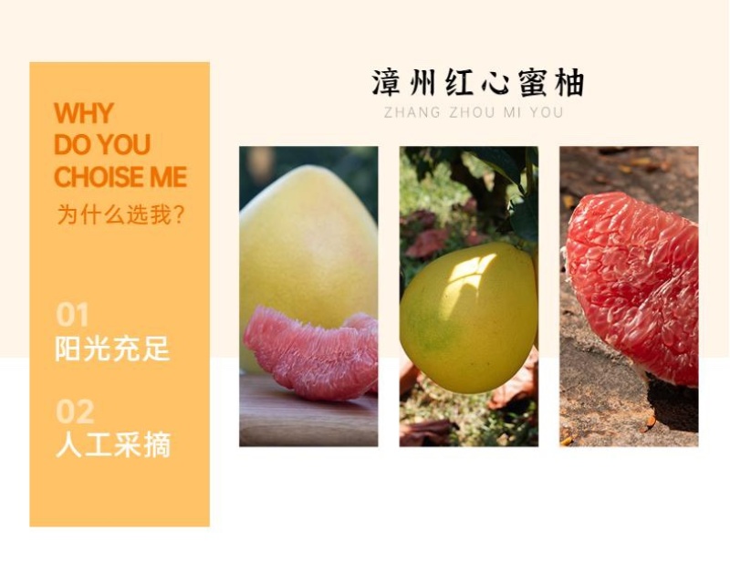 蜜柚，支持一件代发