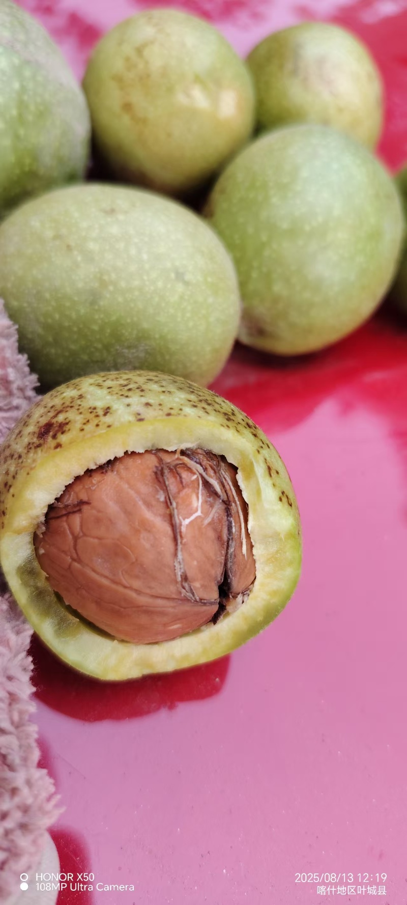 青皮核桃
