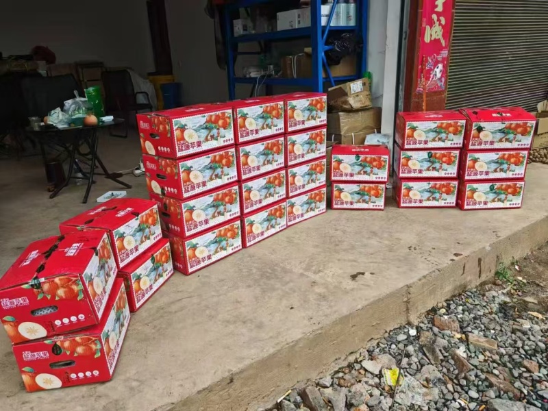 大凉山盐源苹果