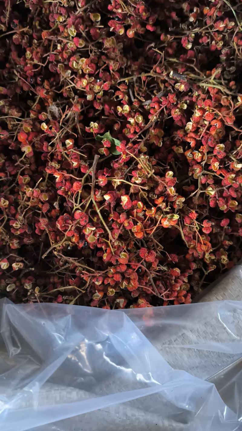 大红袍花椒