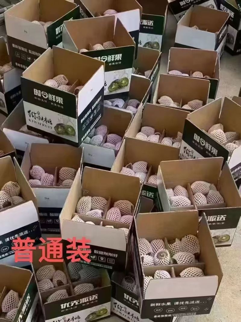 陕西眉县猕猴桃