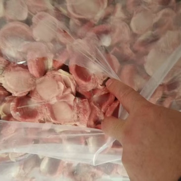 大板鸭胗15吨