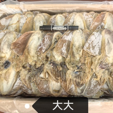 好货**，精品墨鱼干浙江东海本港全淡墨鱼干，个头7-8个一斤