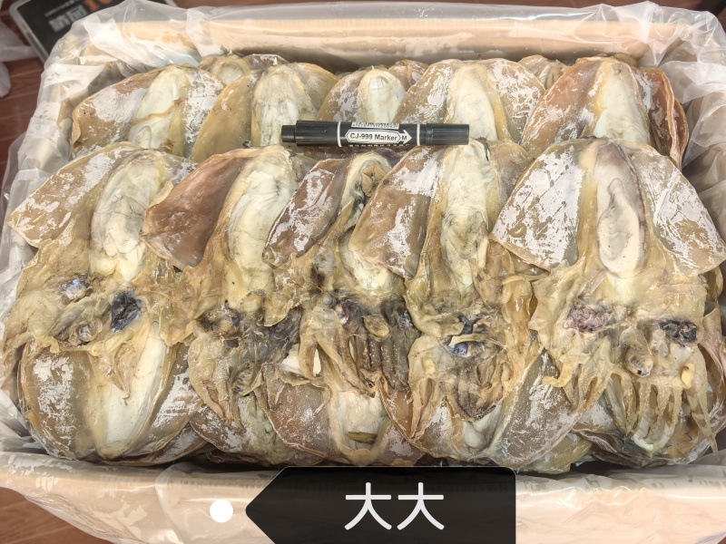 好货**，精品墨鱼干浙江东海本港全淡墨鱼干，个头7-8个一斤