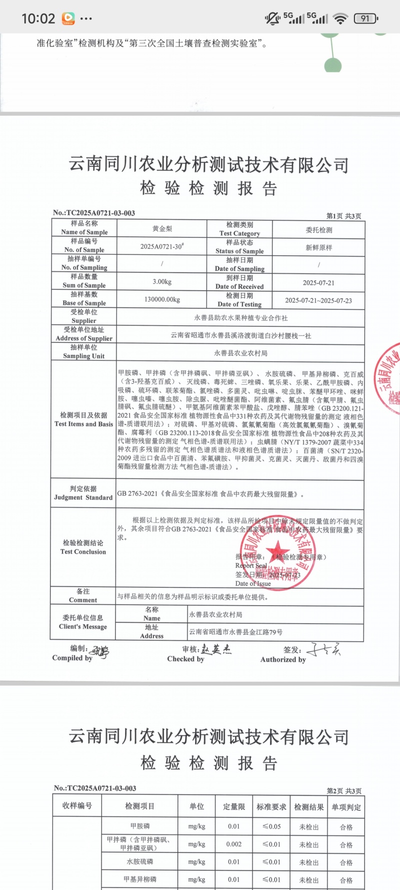 永善白沙梨