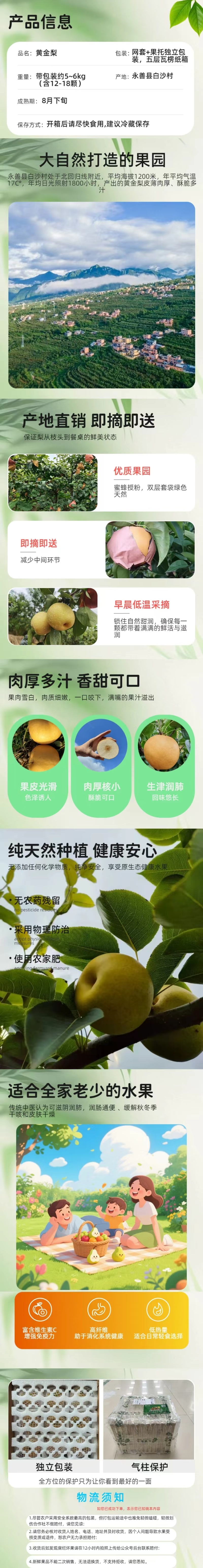 永善白沙梨