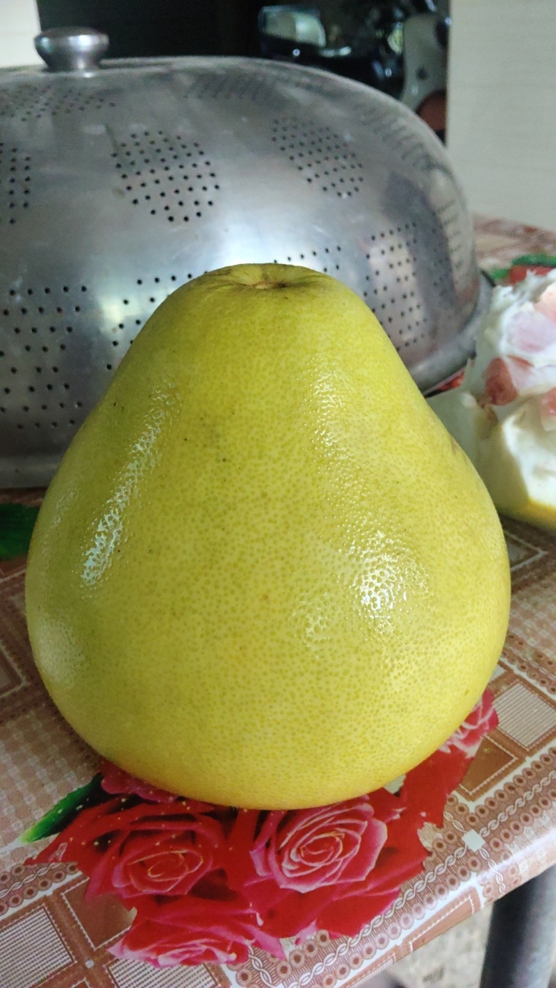 红心柚子