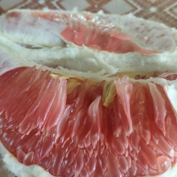 红心柚子