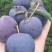 李子