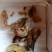 鸡宝