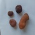 可视频看货，价格面议，线下交易