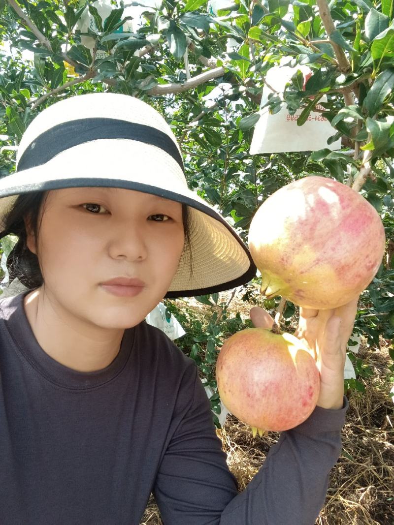 突尼斯软籽石榴
