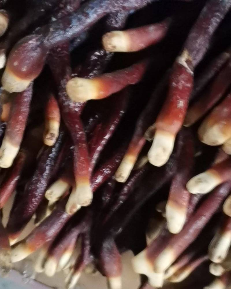 想卖鹿角灵芝