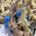 清真熟牛肉牛肚，牛杂