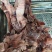 清真熟牛肉牛肚，牛杂