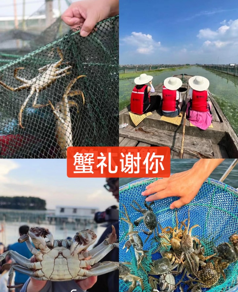 中国河蟹第一市产地启动全国发货招商