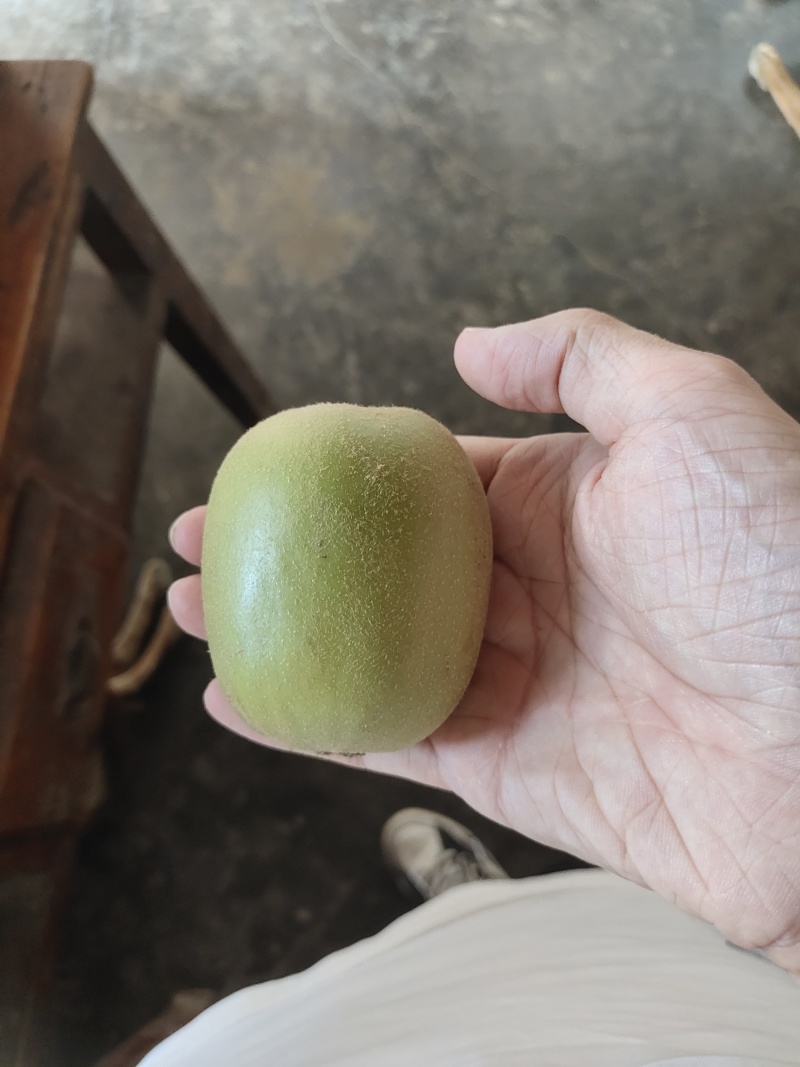 苍溪红心猕猴桃