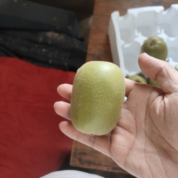 苍溪红心猕猴桃