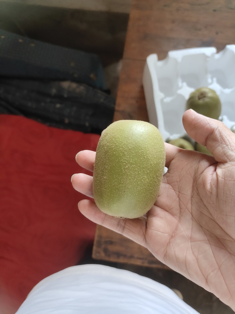 苍溪红心猕猴桃