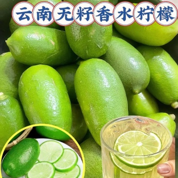 云南香水柠檬