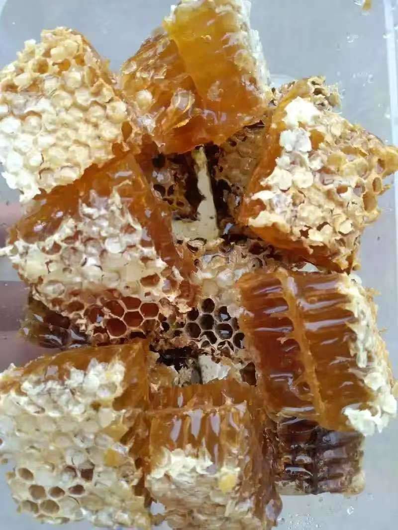 [全国优选好蜜]深山天然野生纯正土蜂蜜一年只取一次批发可谈价