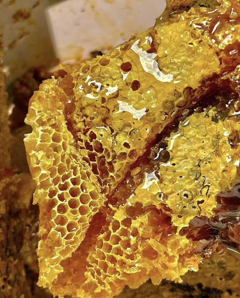 【推荐】一手产地纯正百花蜜1000g野生自然成熟土蜂蜜