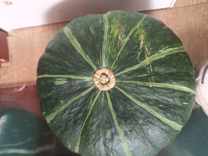 窝瓜