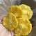 高标香水菠萝圈菠萝干，香甜软糯，好吃不腻！