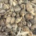 帮档口安排货沙甲青口白贝蛏子美贝车螺每样20斤起可组合湛江发