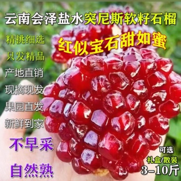 会泽县盐水沟突尼斯软籽石榴