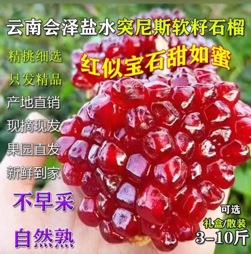 会泽县盐水沟突尼斯软籽石榴