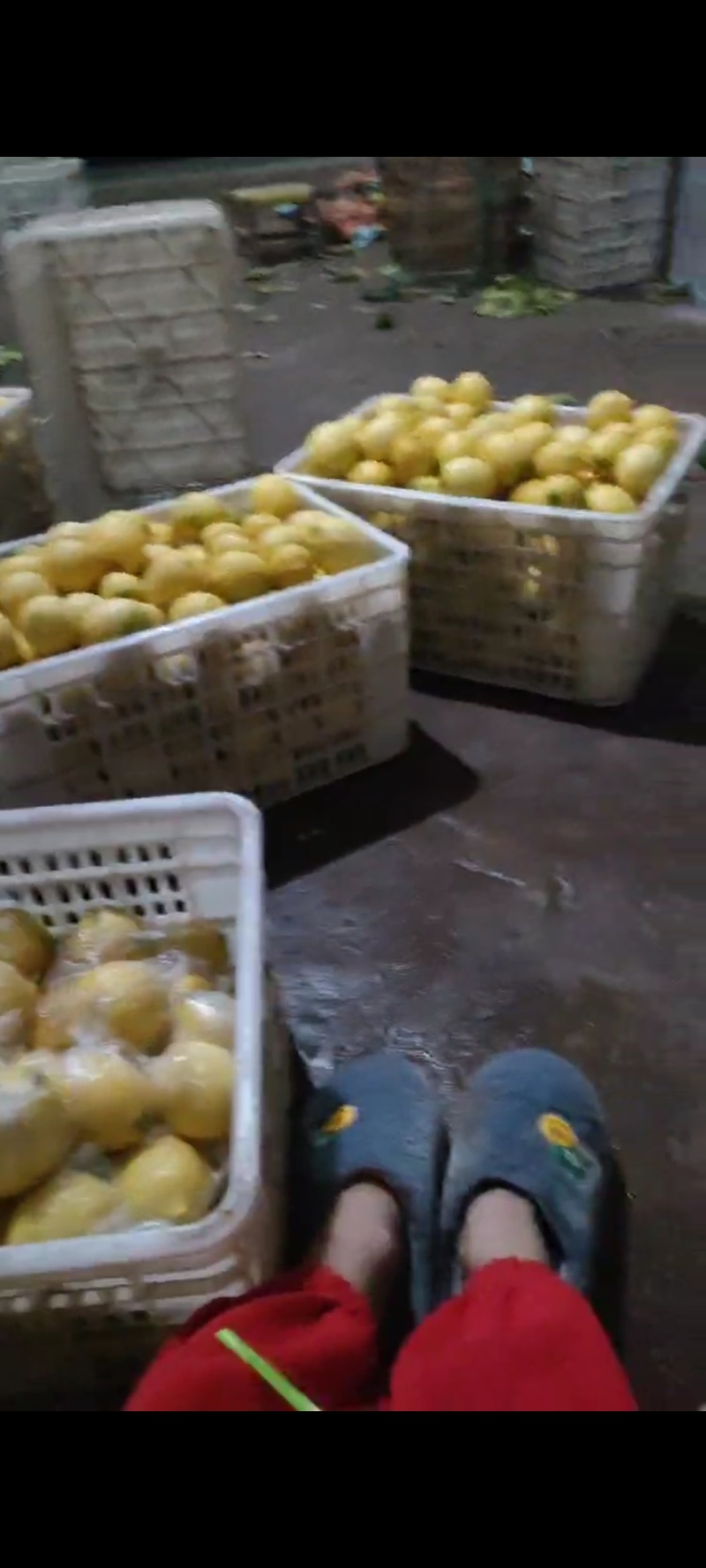 柠檬