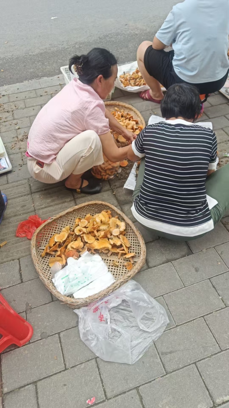 野生香菌
