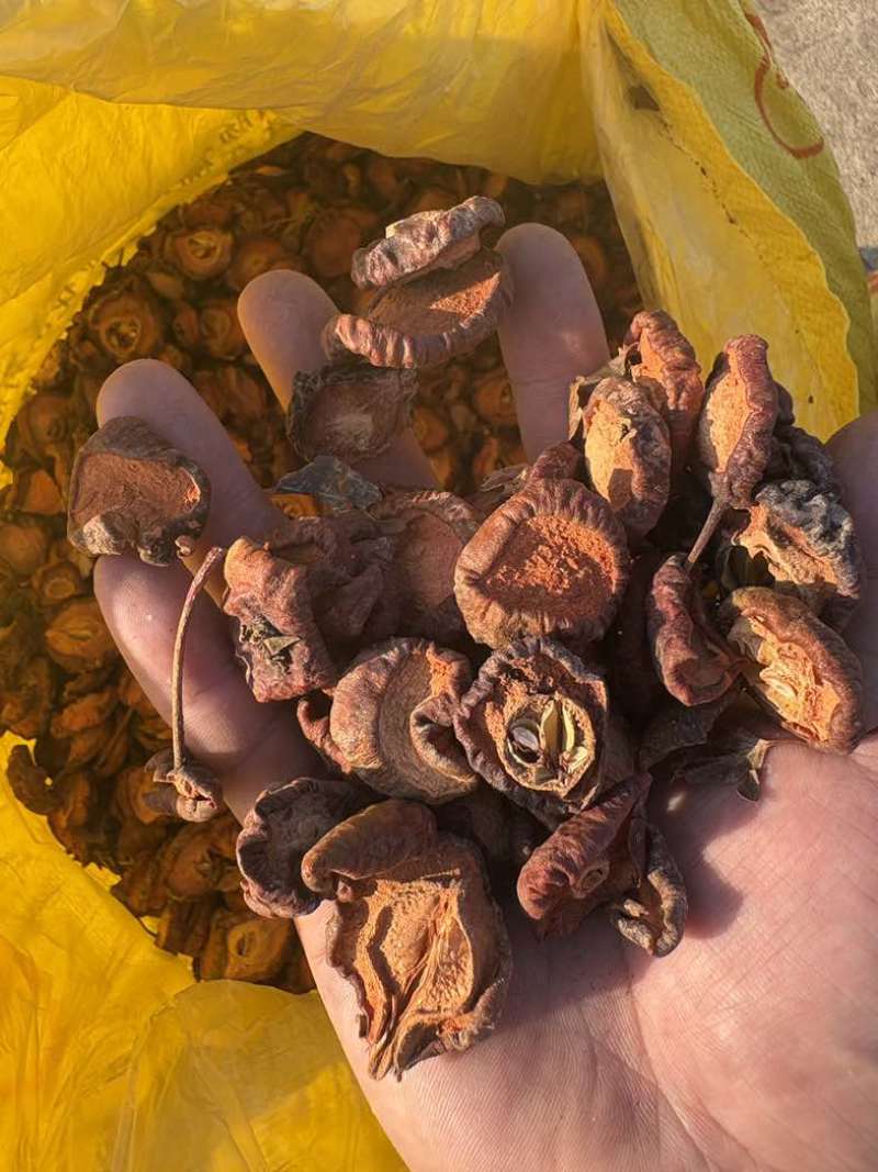 广西桂林山楂干产地代发批发大量有货商超供货山楂片