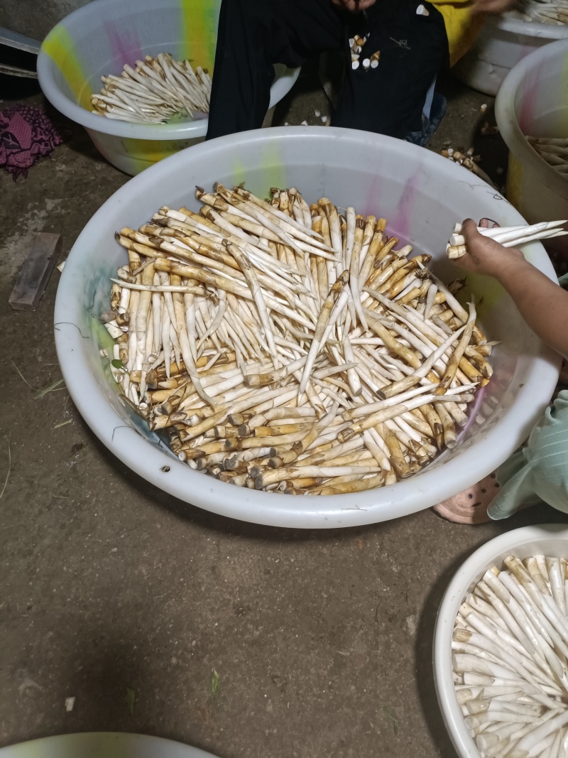 中号，长号，小号