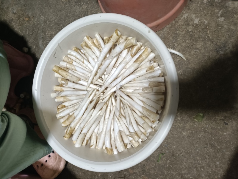 中号，长号，小号