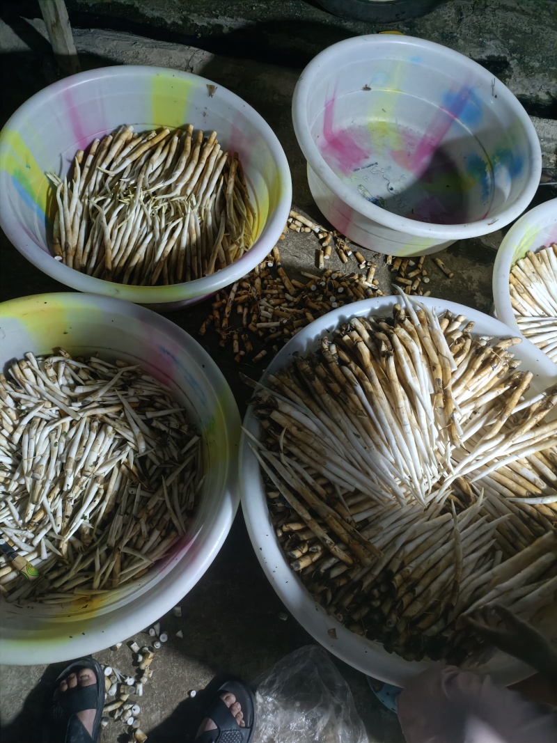 中号，长号，小号
