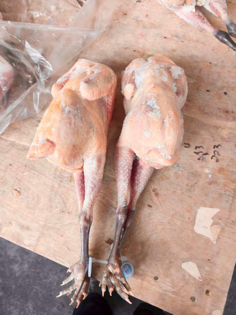 一级麻鸡