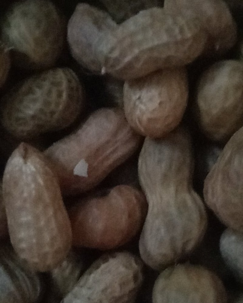 开封鲜花生