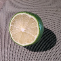 香水柠檬