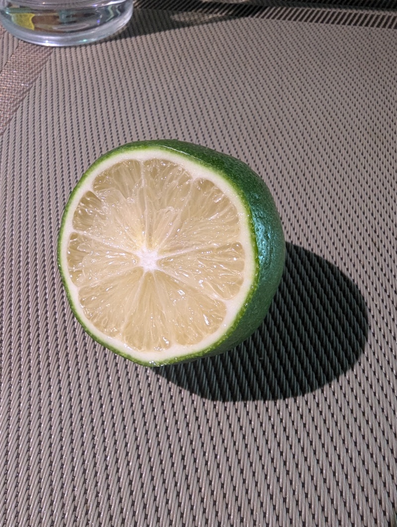 香水柠檬
