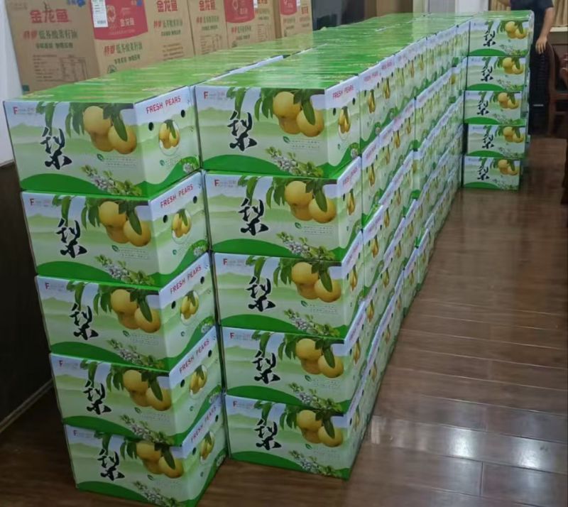 德州地区富硒梨