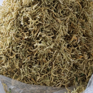 金银花