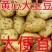 萝卜甜椒大蒜姑娘果