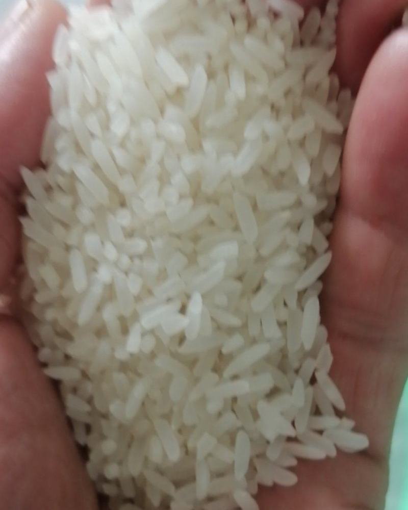 涪陵龙潭今年新米出售