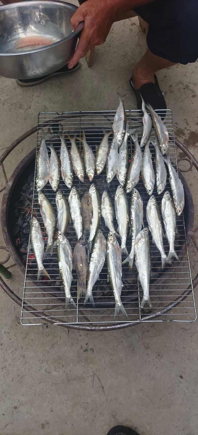 千岛湖碳火烘烤鱼干
