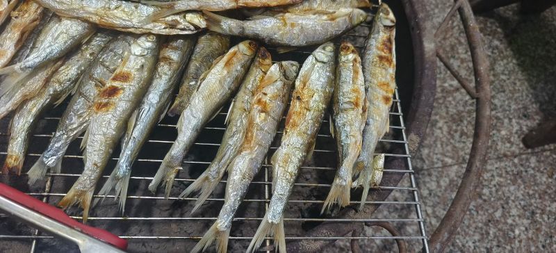 千岛湖碳火烘烤鱼干